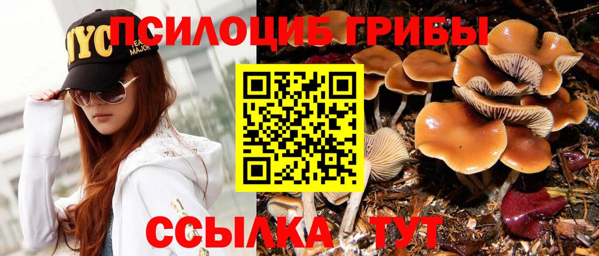 Псилоцибиновые грибы GOLDEN TEACHER Россия