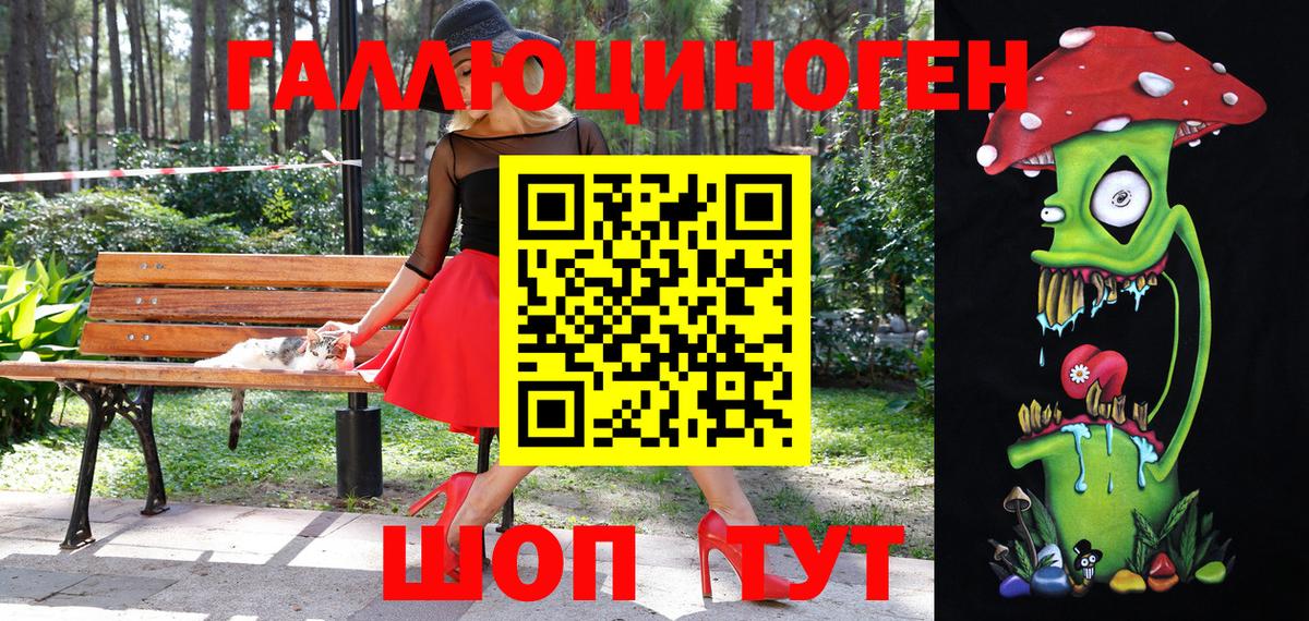 Псилоцибиновые грибы Psilocybe  Вход с VPN  Россия 